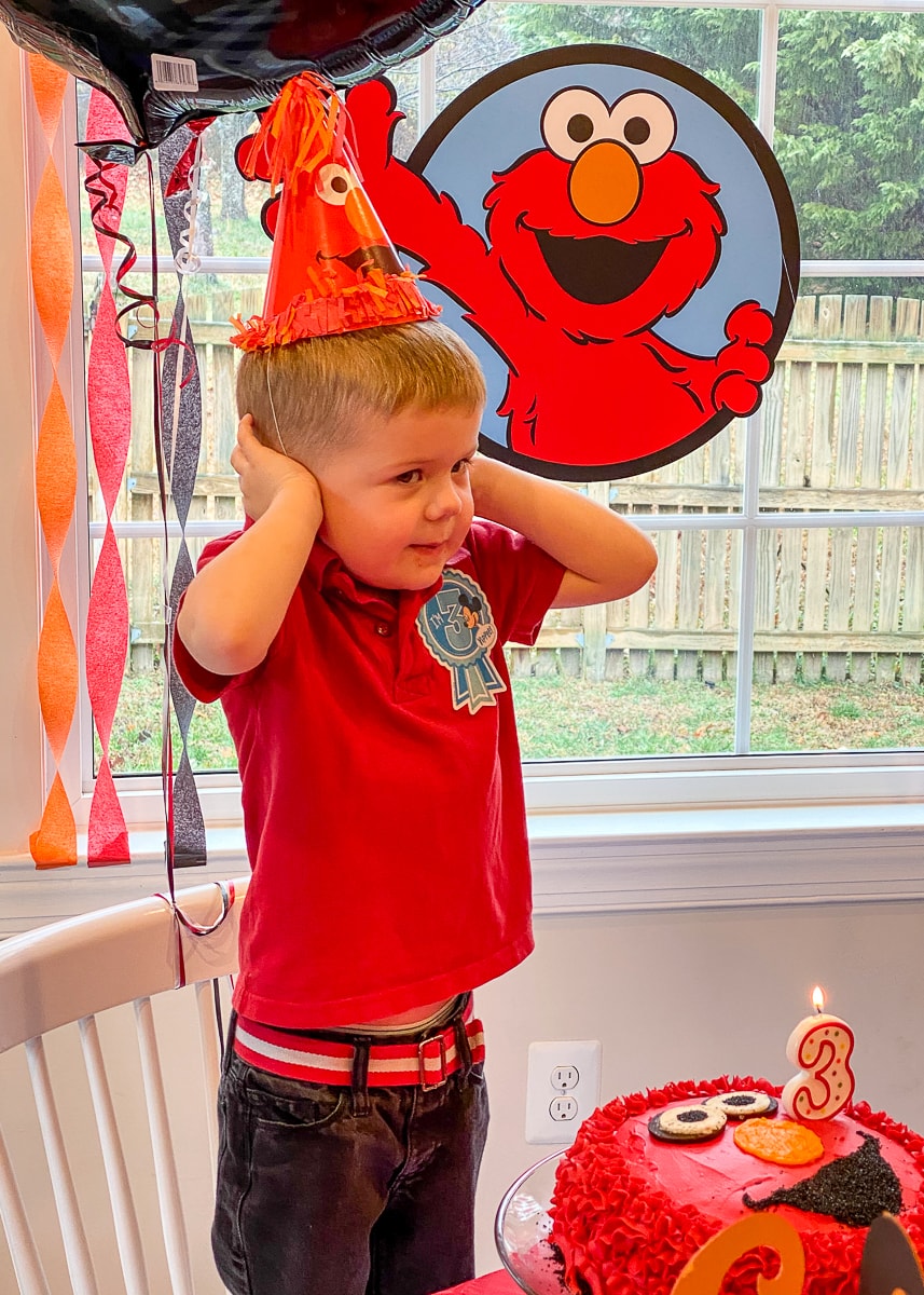 Easy Elmo Birthday Party Ideas - The Homes I Have Made