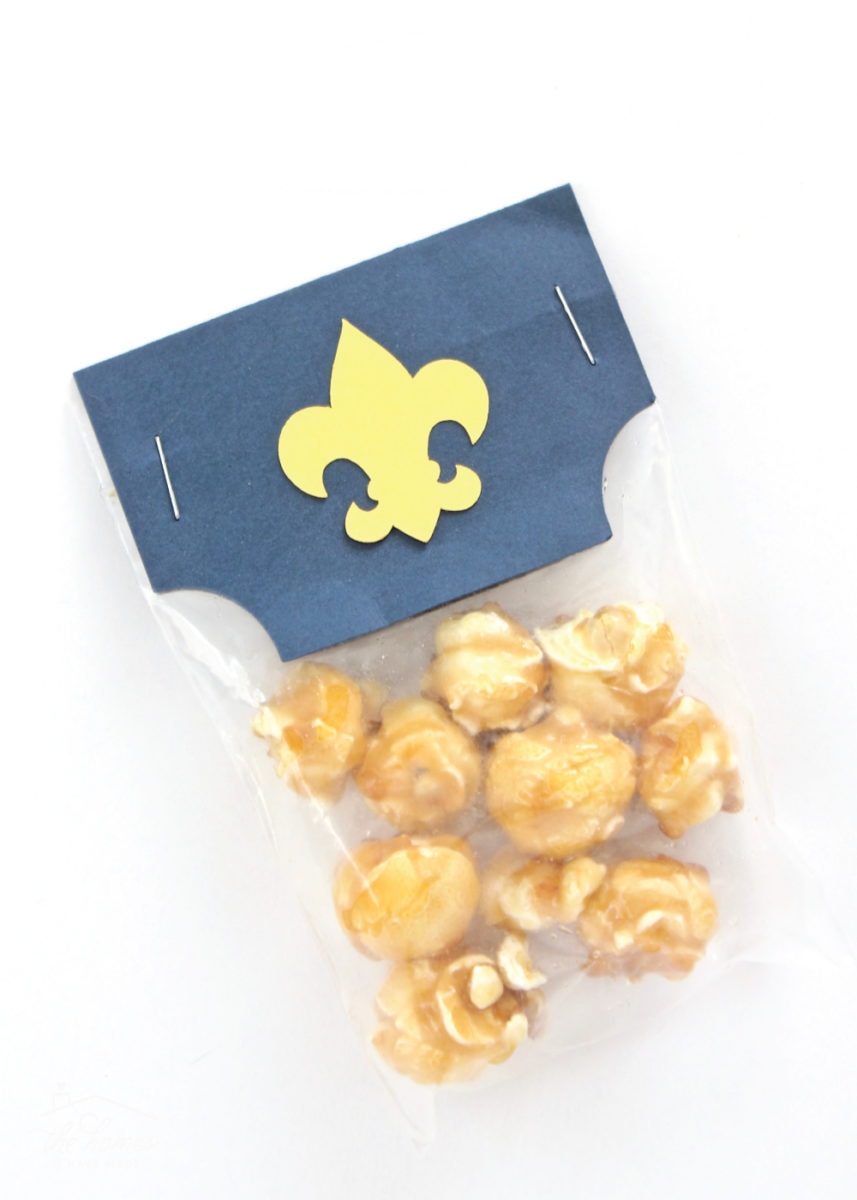 Cub Scout Popcorn Projects (To Help You Sell More Popcorn!) The Homes
