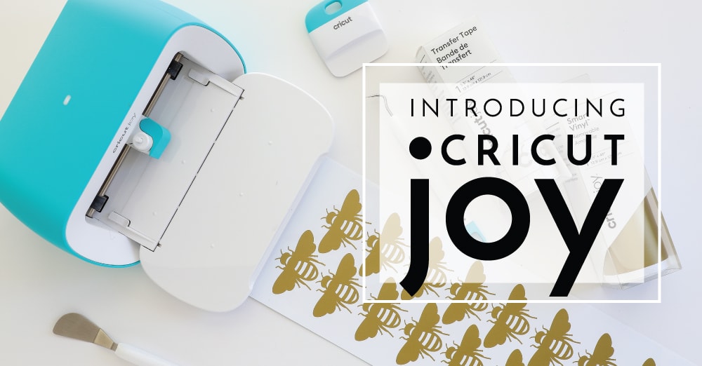 Introducing Cricut Joy  What Is It and What Can It Do? - The