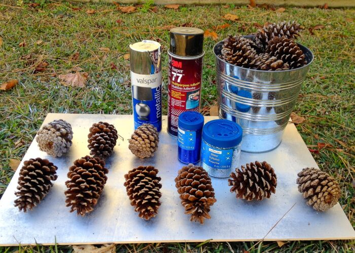 Pinecones with painting supplies on a wood board in grass.