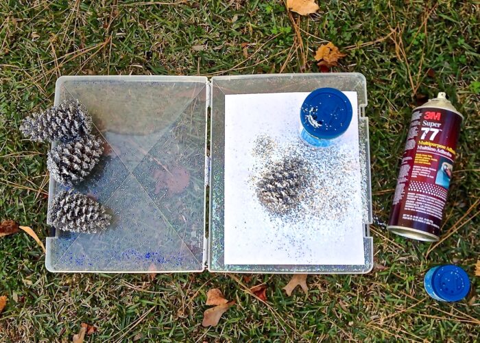 Glittered pinecones on a clear tray with spray adhesive.