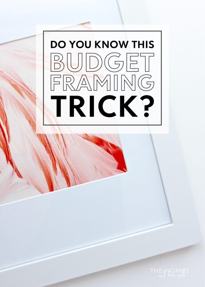 Budget framing of Flamingo Print in white frame with square mat