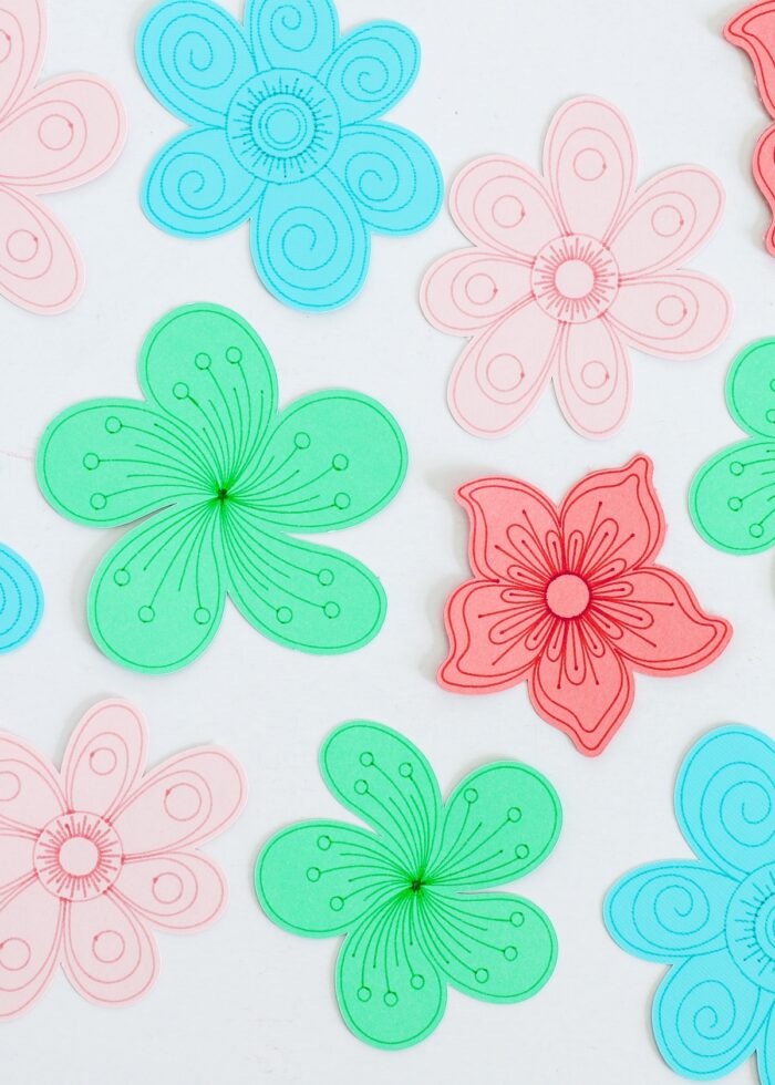 Paper flowers with drawn details created by Cricut Pens