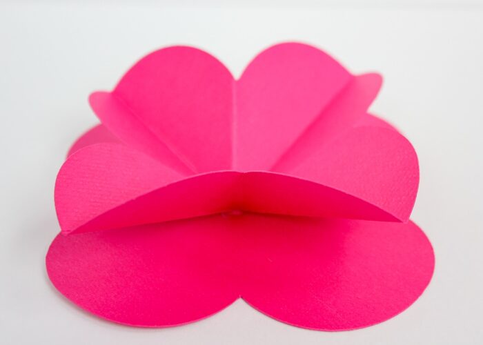 Folded paper flower on top of flat paper flower