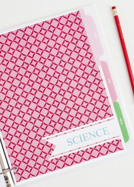 Pink binder divider for school notebook