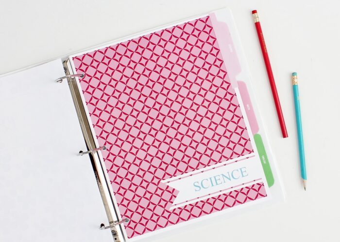 A white binder with pastel homework dividers