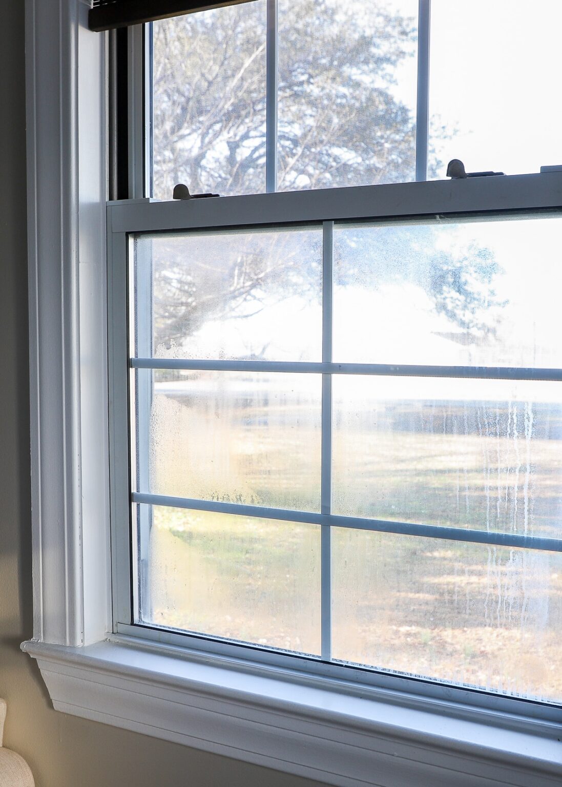 Effective Ways to Get Rid of the Mildew Smell In Your Rental The