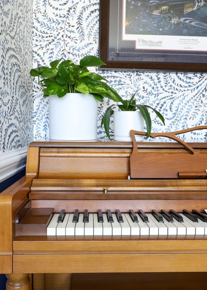 Air-purifying plants sitting on top of piano