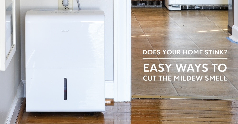 Effective Ways to Get Rid of the Mildew Smell In Your Rental The