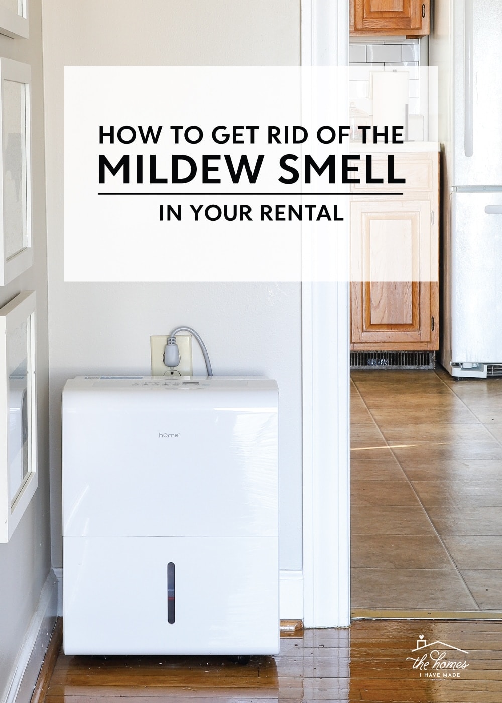 Effective Ways to Get Rid of the Mildew Smell In Your Rental The