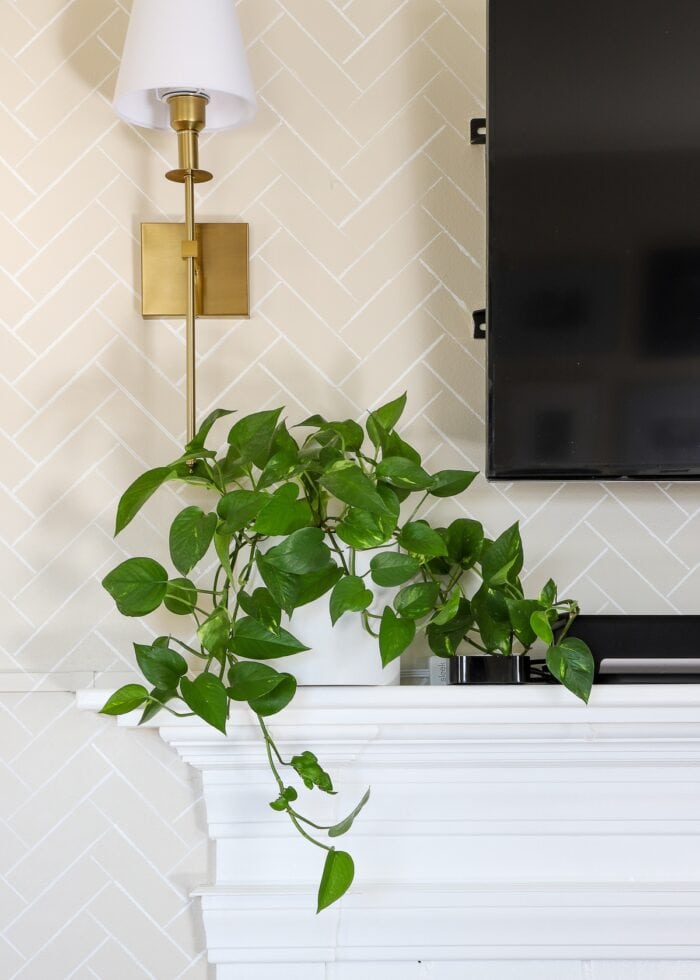 Plant covering cords on mantel