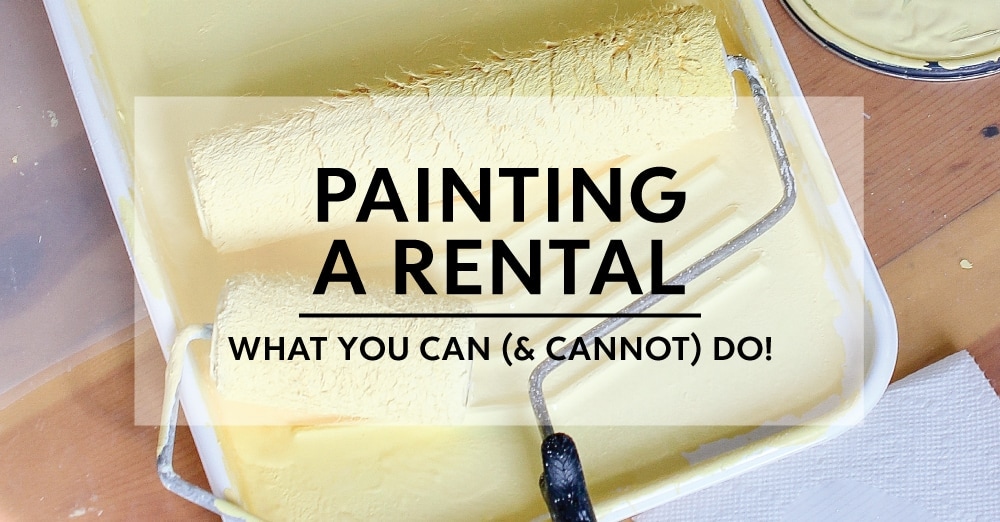 10 Things You CAN Paint In Your Rental (+5 Things You Probably Shouldn't) -  The Homes I Have Made
