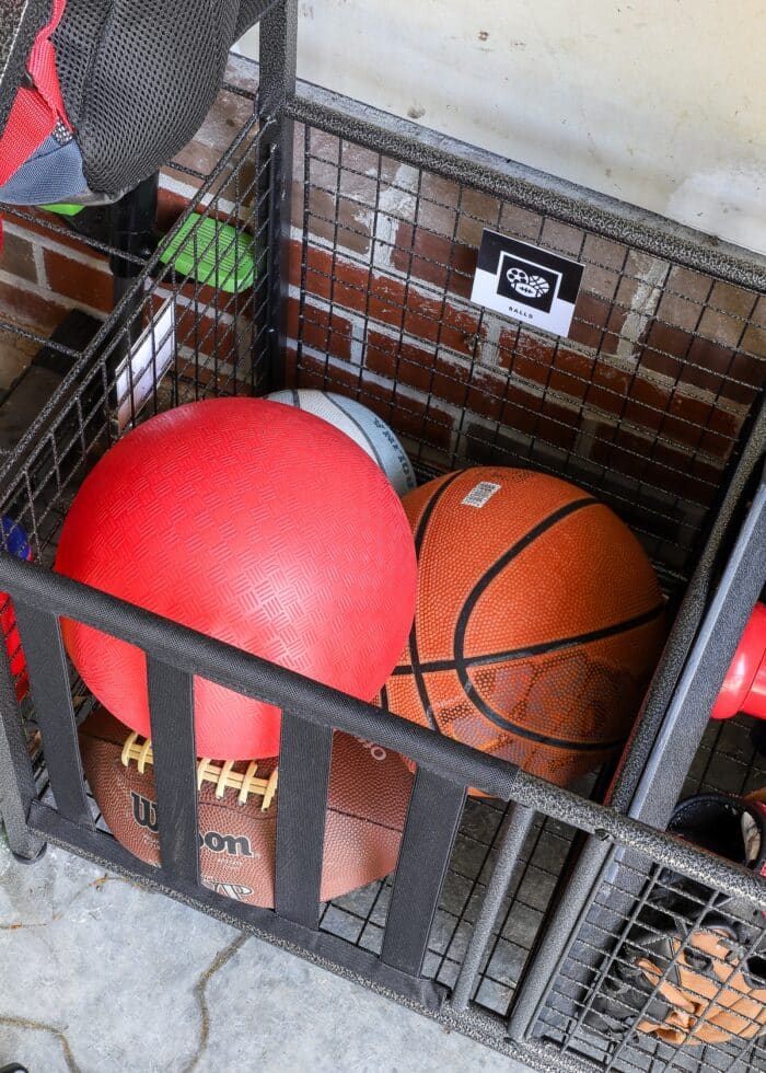 An assortment of balls in a sports equipment rack