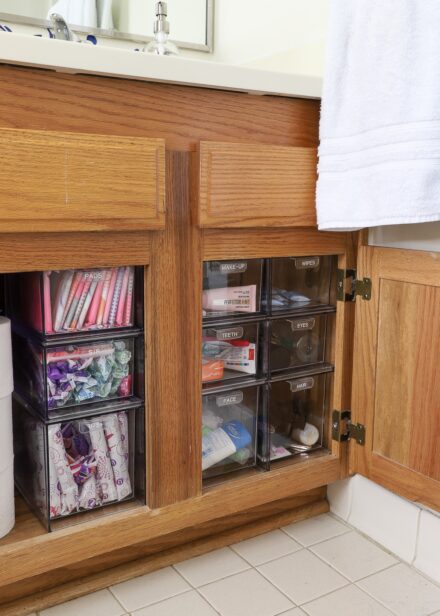My Favorite Way to Organize Cabinets Under the Bathroom Sink - The ...