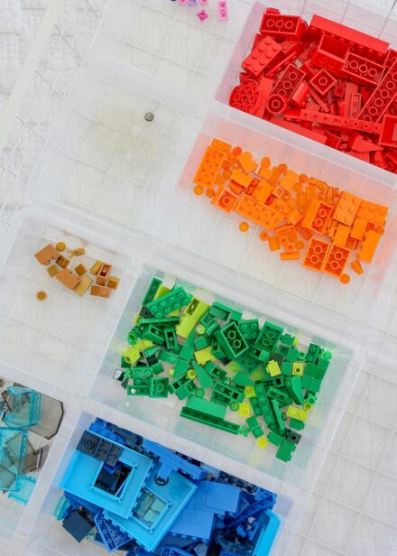 LEGO bricks sorted by color in a clear tray
