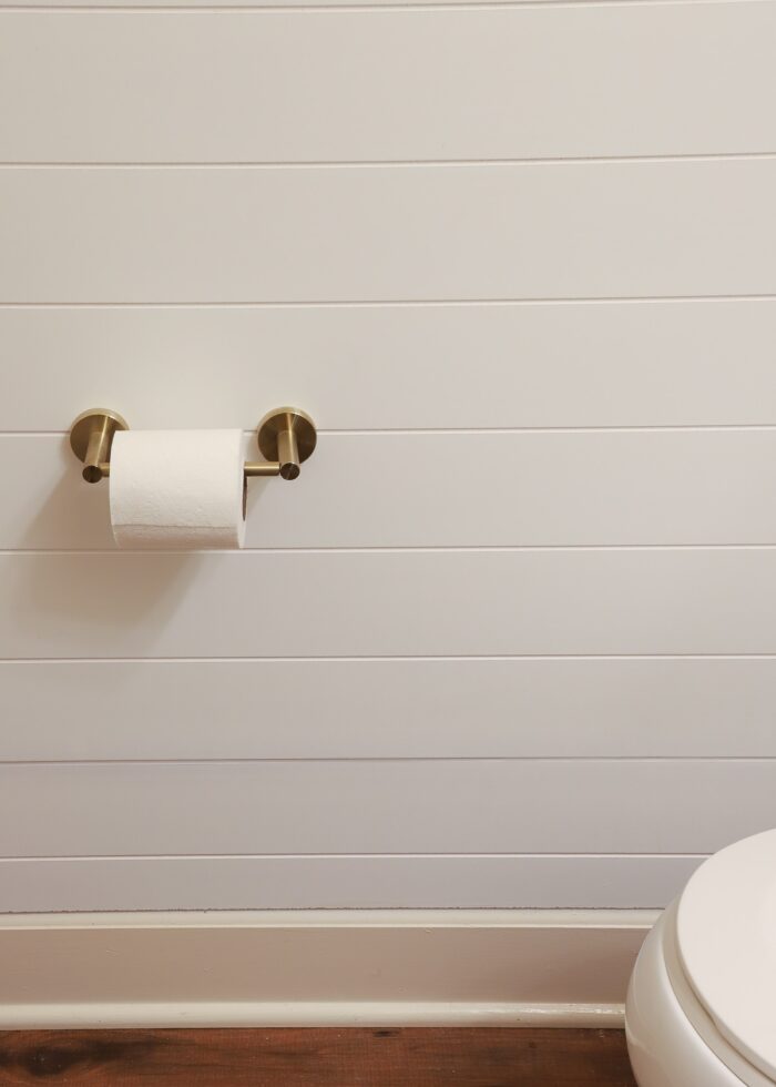 White shiplap wall paneling on a bathroom wall with a brass toilet paper holder